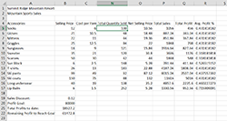 Daily sales columns between columns C and N are hidden